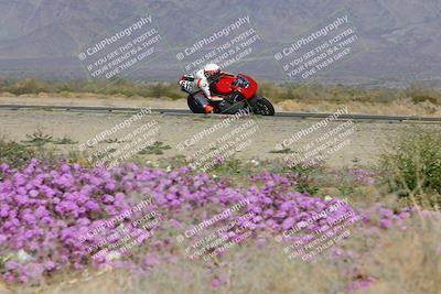 media/Feb-04-2023-SoCal Trackdays (Sat) [[8a776bf2c3]]/Turn 15 Inside Blooming (1050am)/